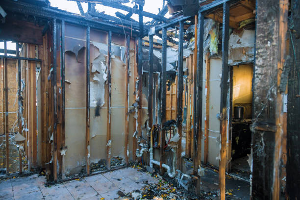 Professional Fire Damage Removal technician working in Penndel, PA